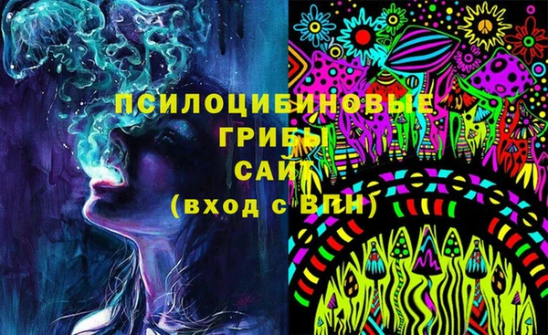 эйфоретик Куйбышев