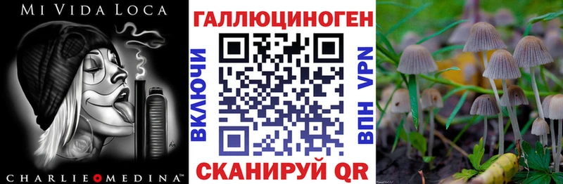 Купить  Зверево  Галлюциногенные грибы мухоморы 